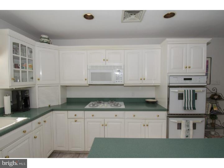 727 Mt Moro Road Villanova, PA 19085 - Photo 15 of 21