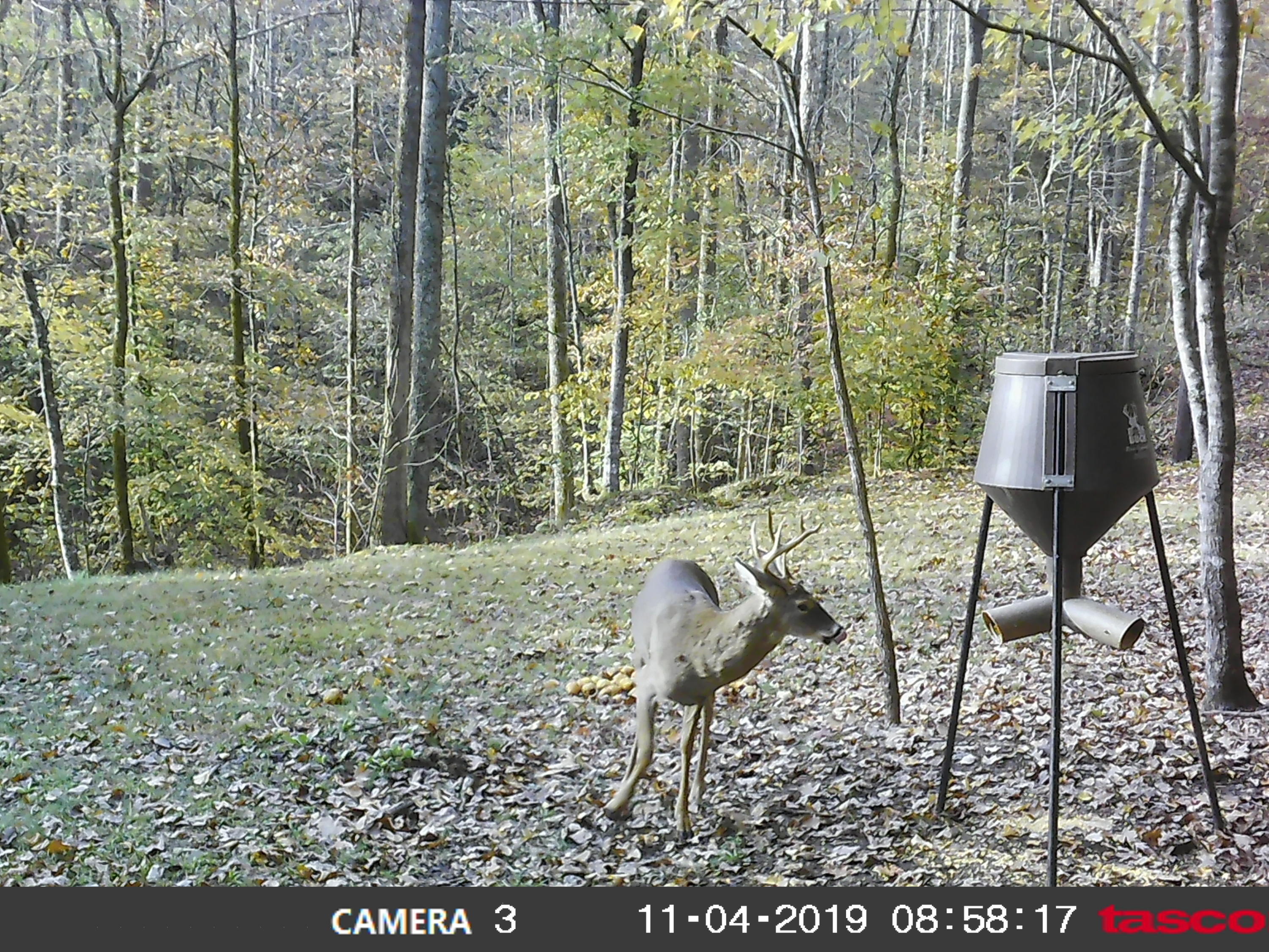 740 Harmon Road Somerset, KY 42501 - Photo 69 of 69 00000159