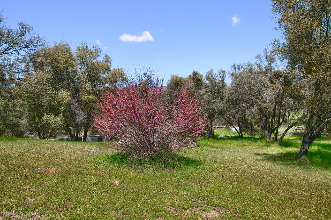 3939 Snow Creek Road Mariposa, CA 95338 - Photo 26 of 66 Gallery Image 26