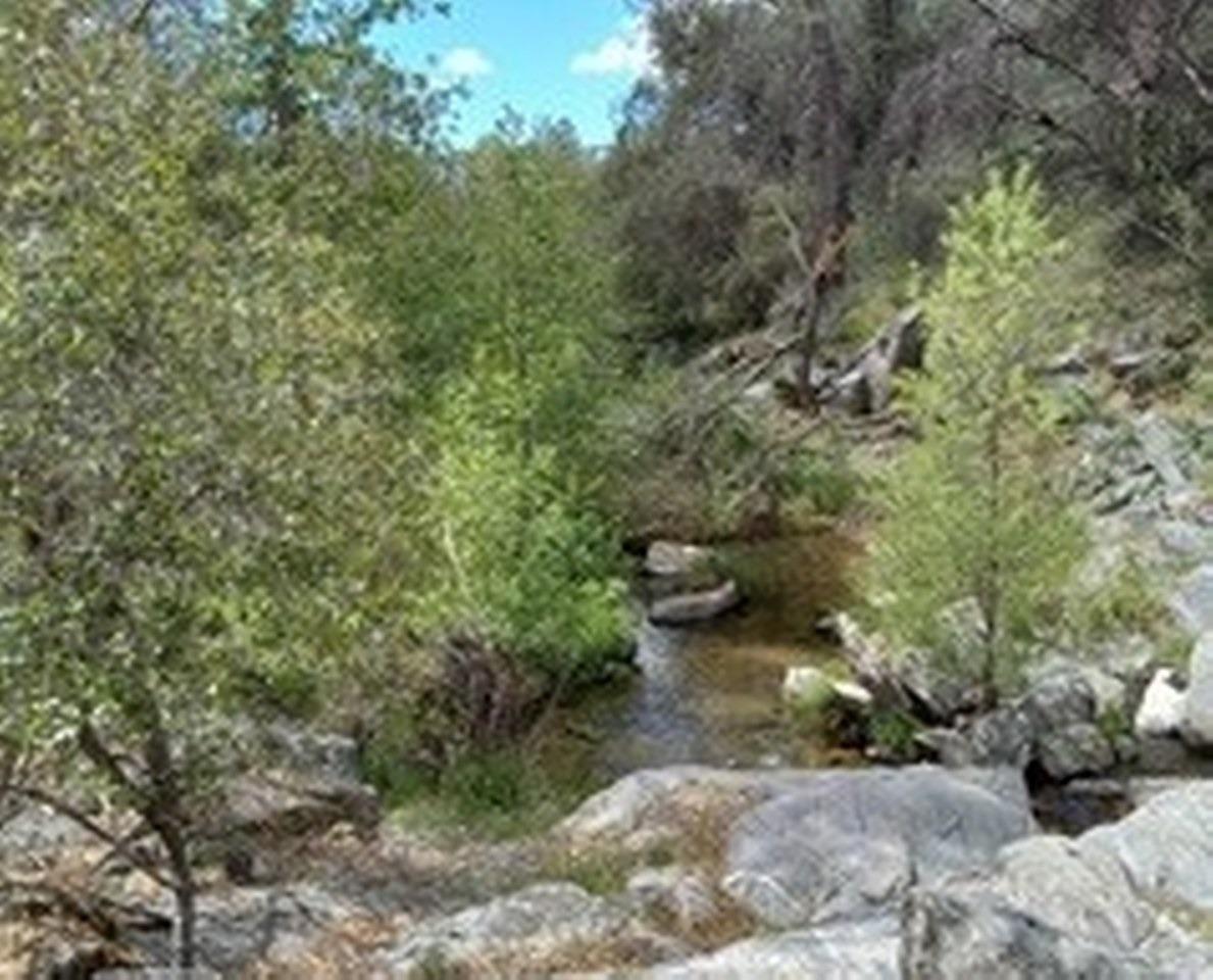 3939 Snow Creek Road Mariposa, CA 95338 - Photo 49 of 66 Gallery Image 49
