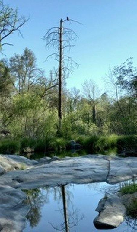 3939 Snow Creek Road Mariposa, CA 95338 - Photo 50 of 66 Gallery Image 50