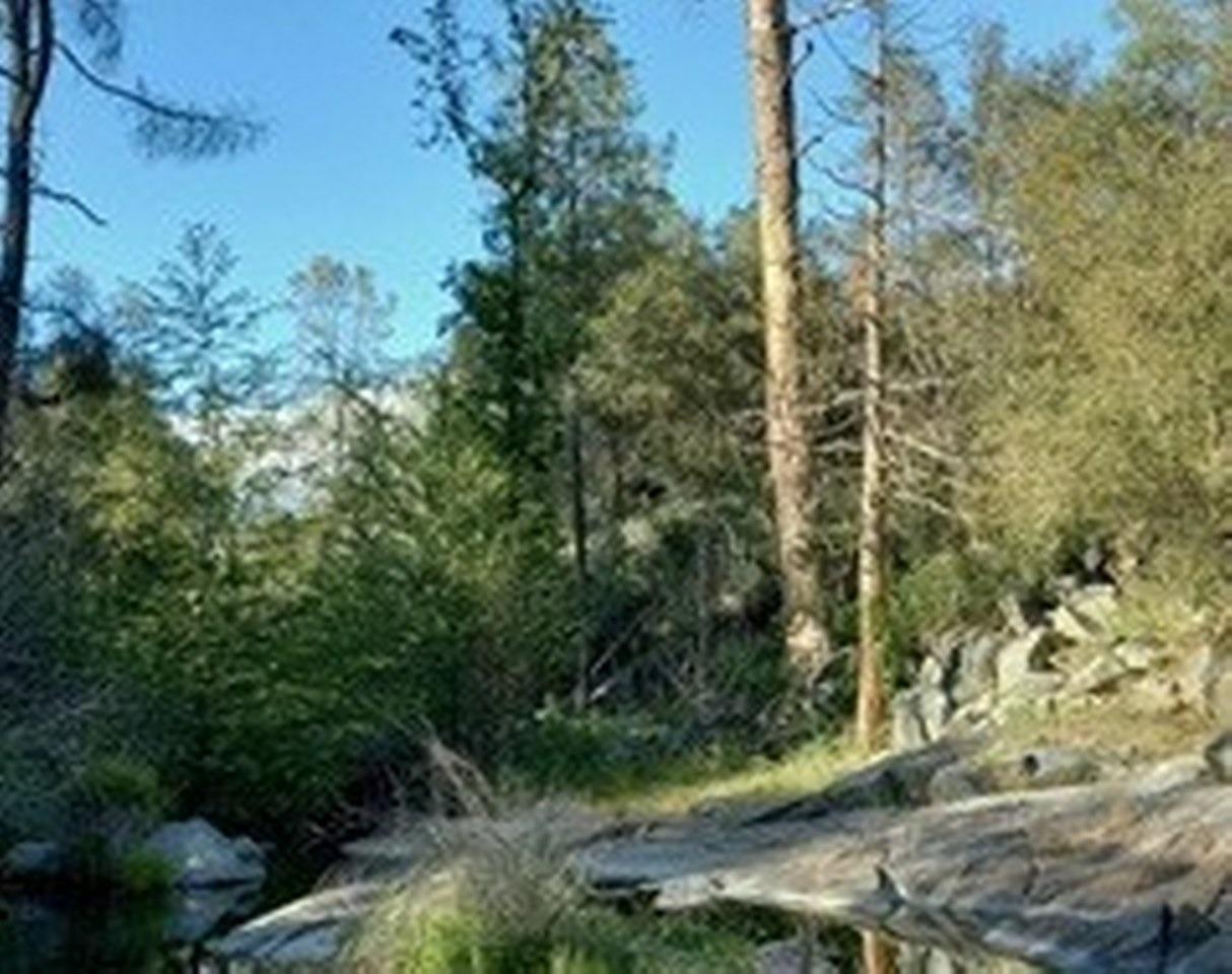 3939 Snow Creek Road Mariposa, CA 95338 - Photo 53 of 66 Gallery Image 53