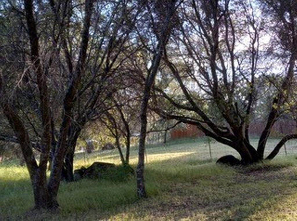 3939 Snow Creek Road Mariposa, CA 95338 - Photo 55 of 66 Gallery Image 55