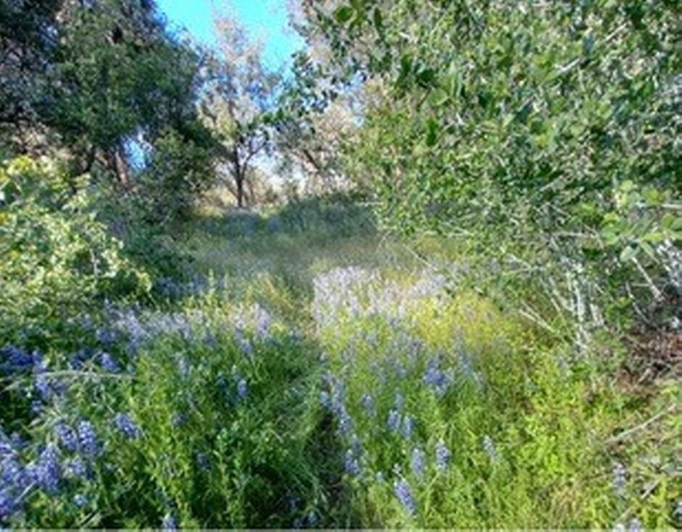 3939 Snow Creek Road Mariposa, CA 95338 - Photo 60 of 66 Gallery Image 60