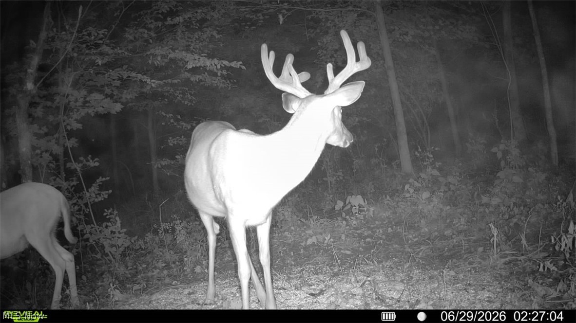 Norris Road Tippecanoe, OH 44699 - Photo 31 of 32