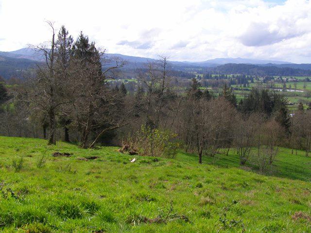 Lot 28 Skyview Road Tillamook, OR 97141 - Photo 12 of 15 P3180371.JPG