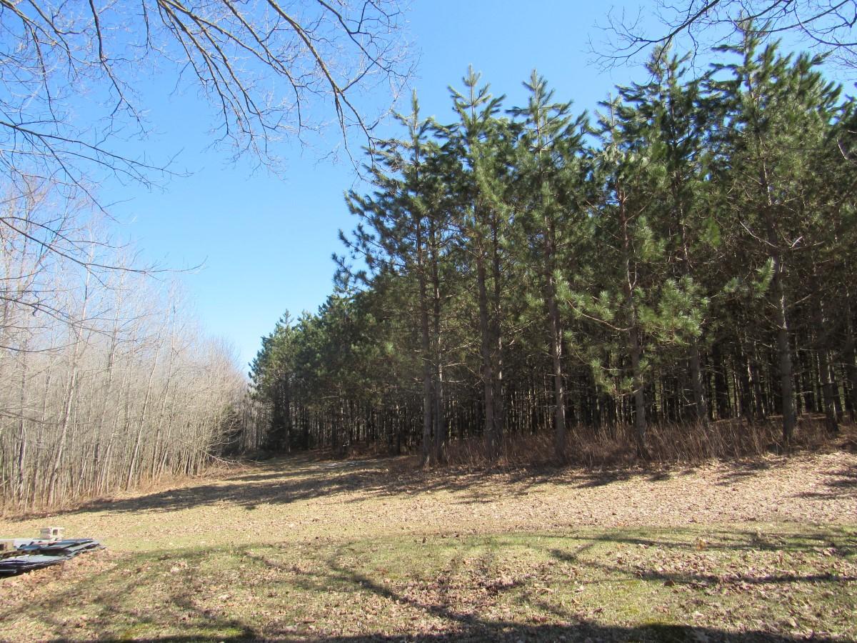 W11491 Cth M Rib Lake Merrill, WI 54452 - Photo 11 of 15 Gallery Image 11