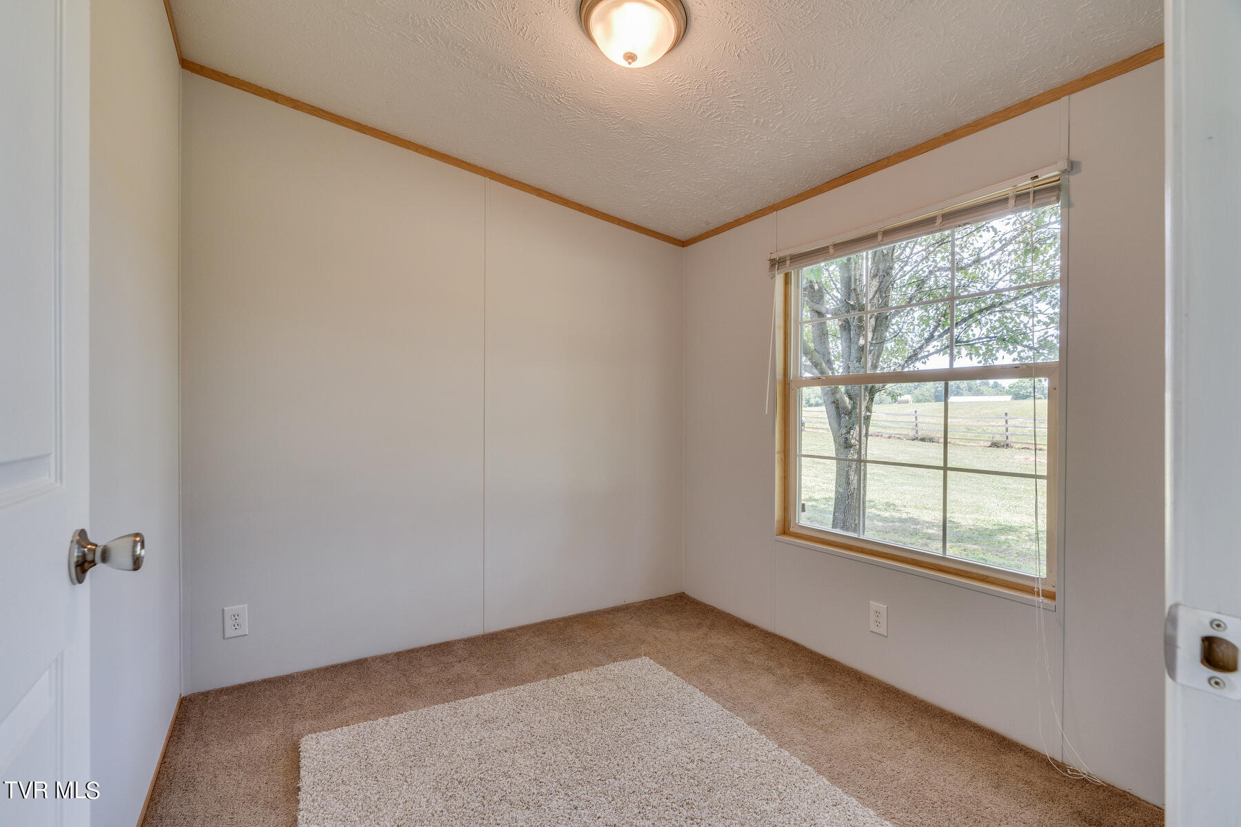 193 Barwick Road Limestone, TN 37681 - Photo 36 of 77 018