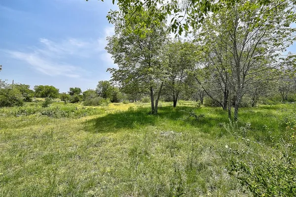 a big yard with lots of green space and plants