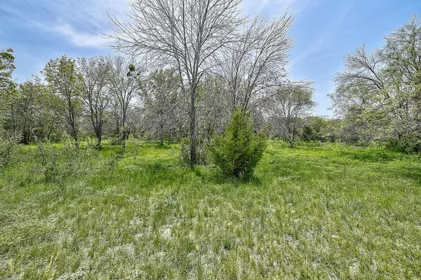 a view of a large yard with lots of green space