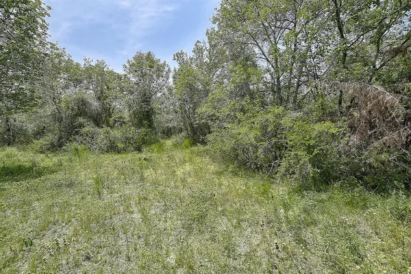 a large yard with lots of green space and house in the back