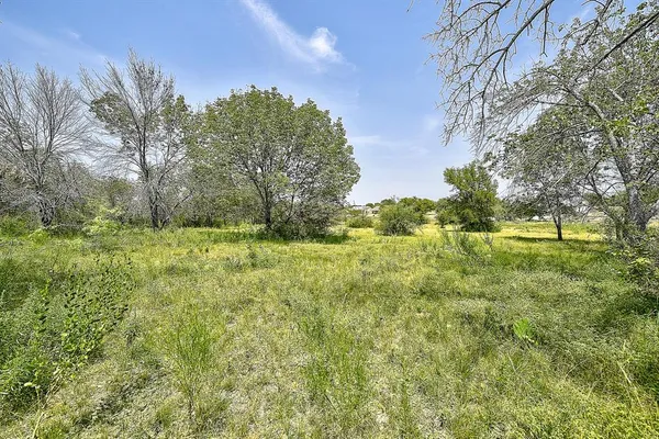 a view of outdoor space with trees all around