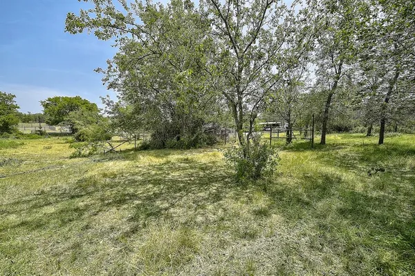 a view of a field with an ocean