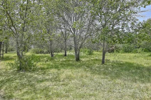 a view of a green yard