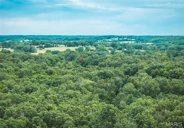 $190,000 | 0 Highway Cc Licking Mo 65542, Licking, MO 65542