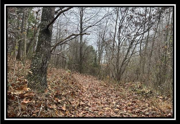 35887 Buck Run Road, Unit TRACT 7 Langsville, OH 45741 - Photo 29 of 37 image029