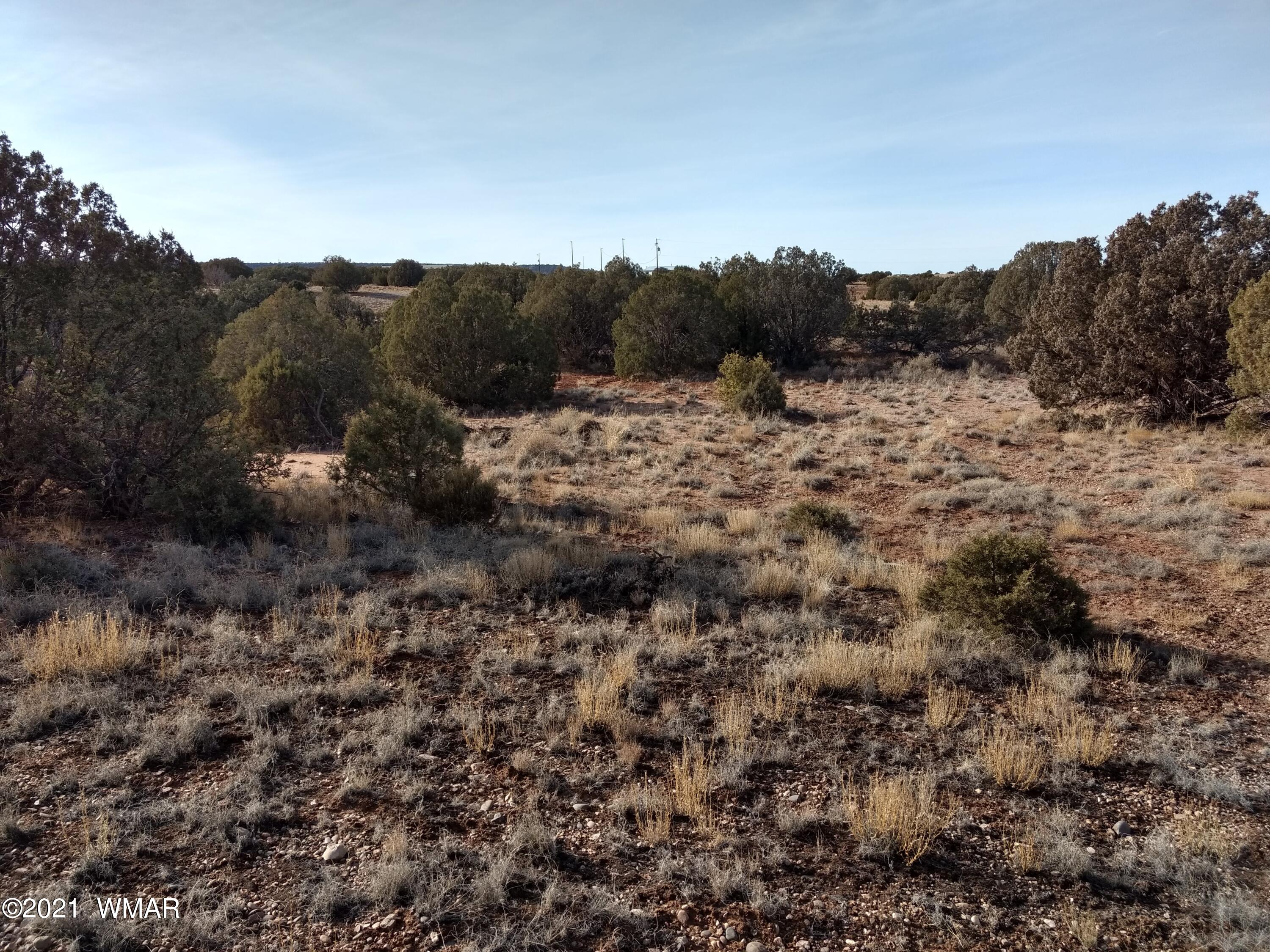 4488 Clydesdale Road Snowflake, AZ 85937 - Photo 1 of 11 a view of a forest with a tree in the background