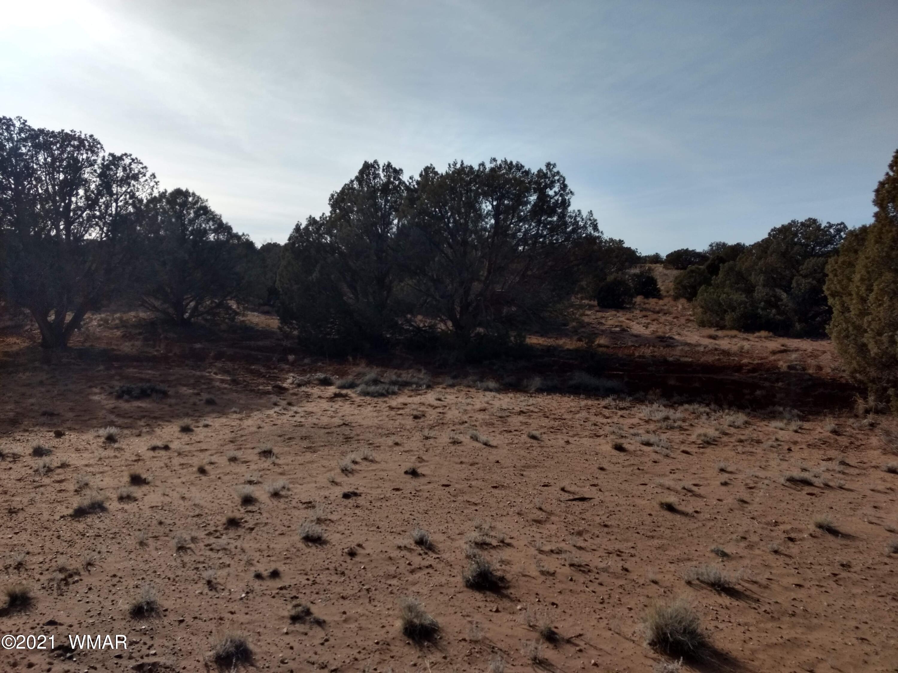 4488 Clydesdale Road Snowflake, AZ 85937 - Photo 3 of 11 a view of dirt yard with mountain view
