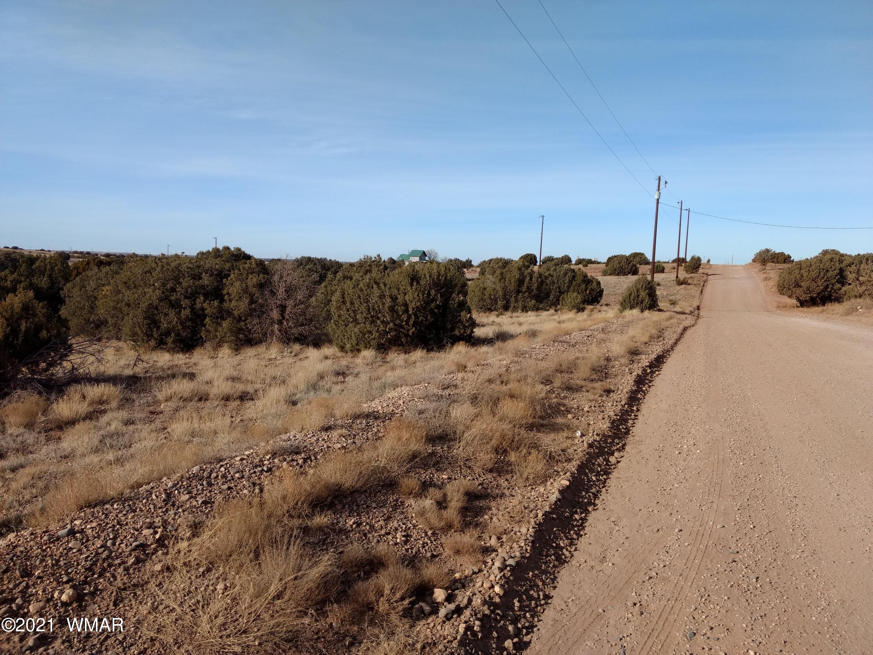 4488 Clydesdale Road Snowflake, AZ 85937 - Photo 5 of 11 a view of a dry yard
