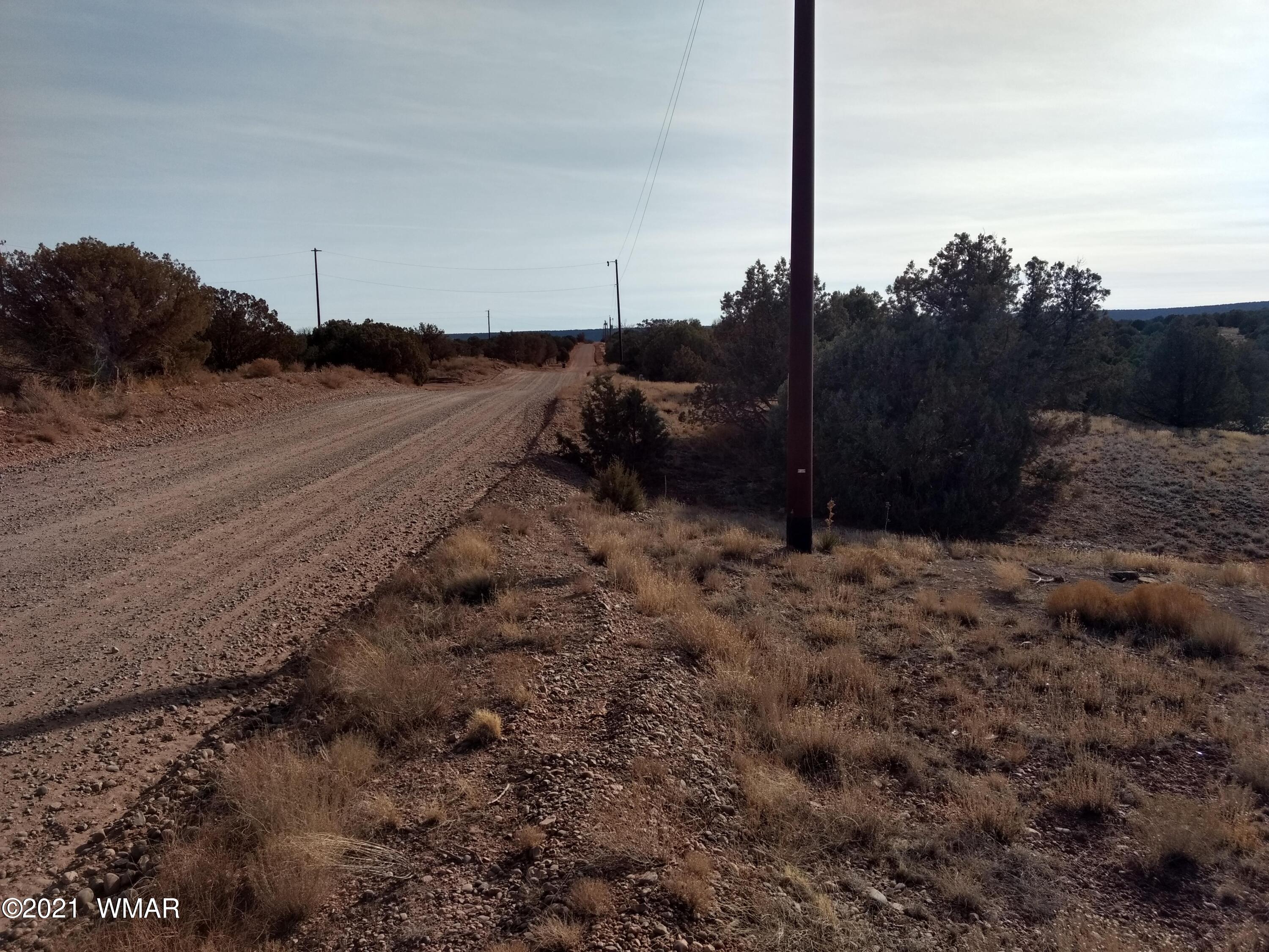 4488 Clydesdale Road Snowflake, AZ 85937 - Photo 6 of 11 a view of a dry yard with trees