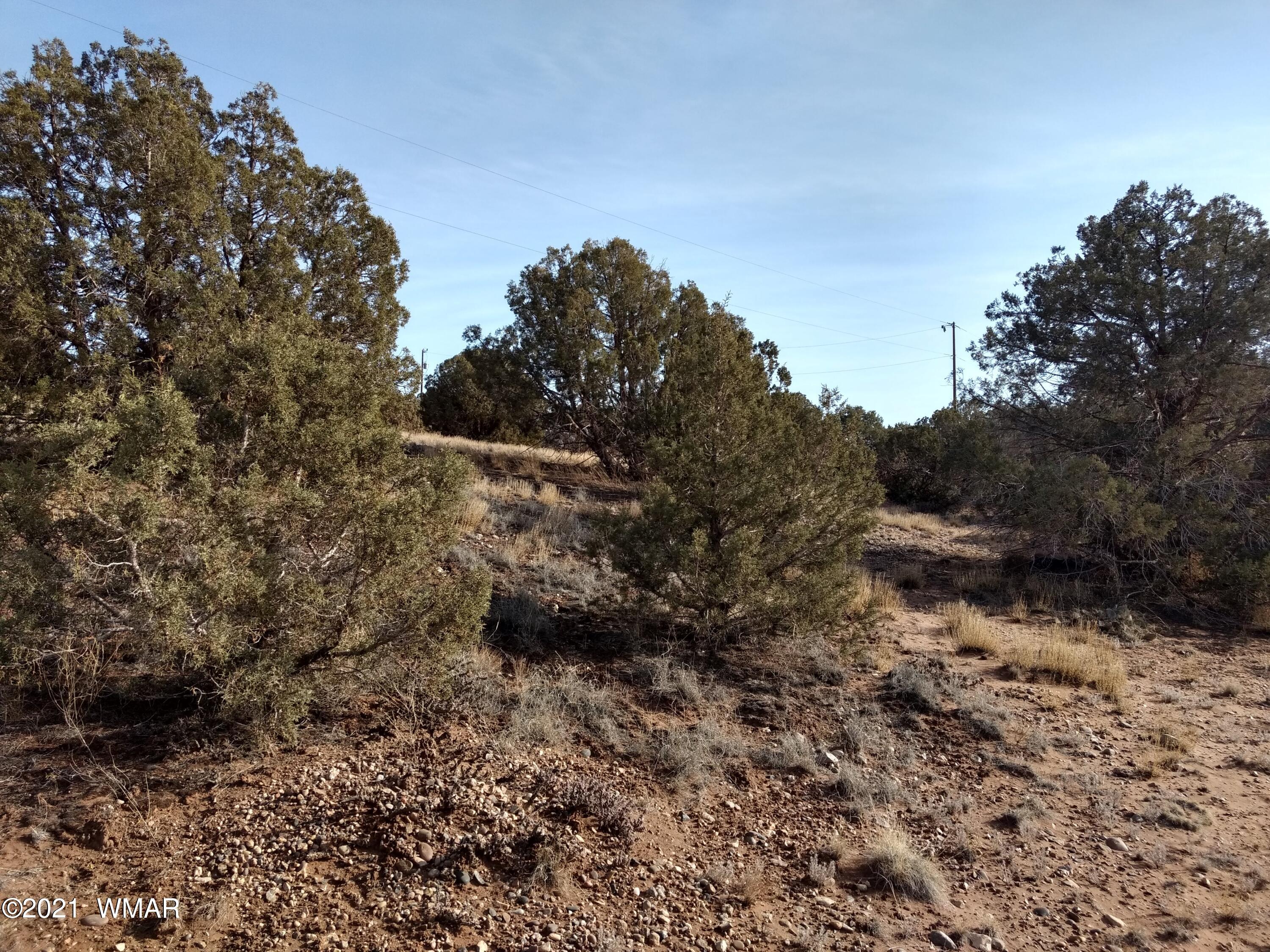 4488 Clydesdale Road Snowflake, AZ 85937 - Photo 7 of 11 a view of a yard with lots of bushes