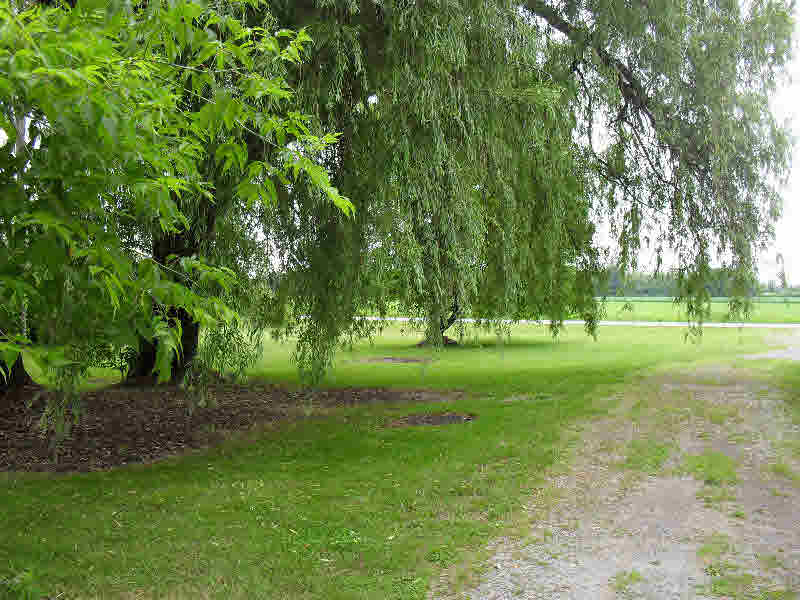 1531 Kaiser Tower Road Pinconning, MI 48650 - Photo 8 of 30