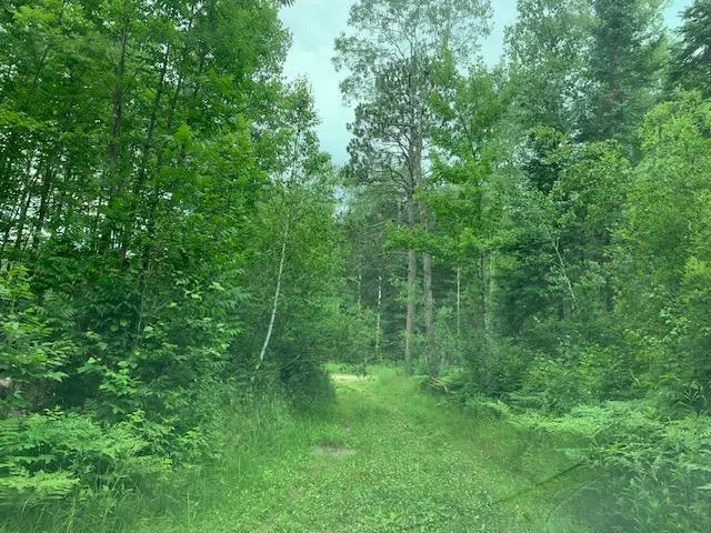 $79,000 | Tbd Tbd Mushgee Road, Spring Lake, MN 56680