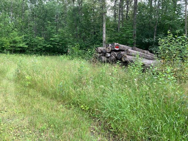 Tbd Mushgee Road Spring Lake, MN 56680 - Photo 3 of 6