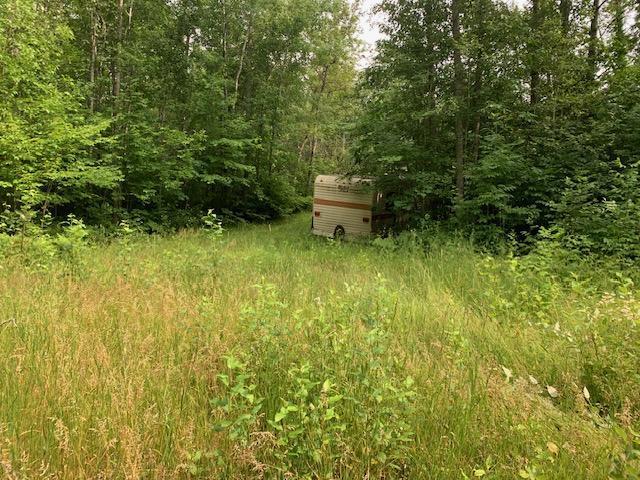 Tbd Mushgee Road Spring Lake, MN 56680 - Photo 4 of 6