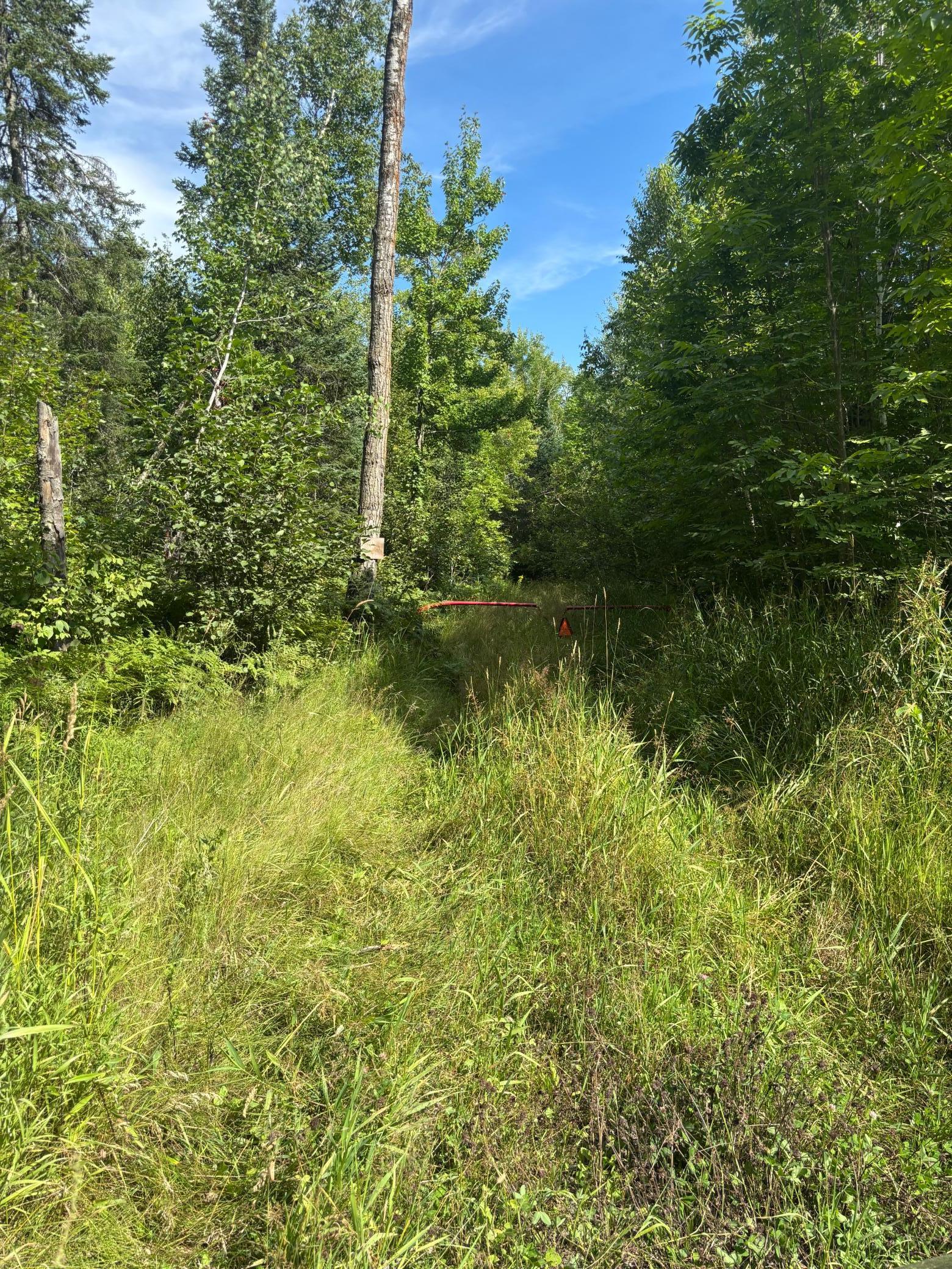 Tbd Mushgee Road Spring Lake, MN 56680 - Photo 6 of 6