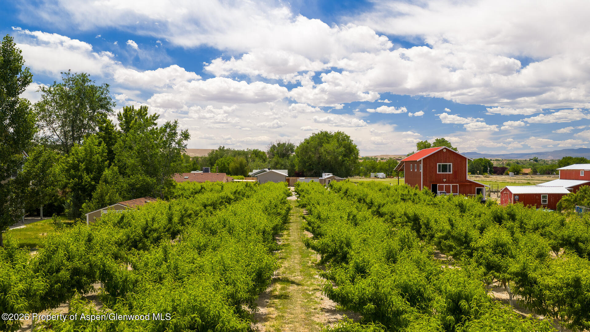 3609 G Road Palisade, CO 81526 - Photo 61 of 63 Drone-19