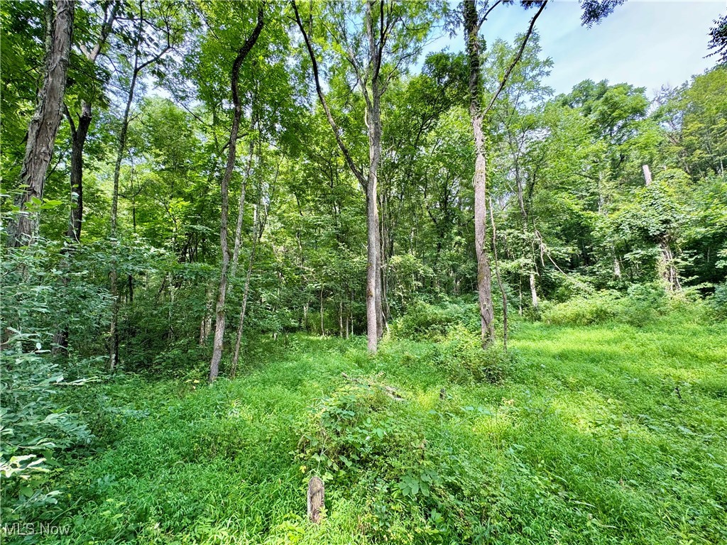 437 Township Road Dresden, OH 43821 - Photo 14 of 35 Gallery Image 14