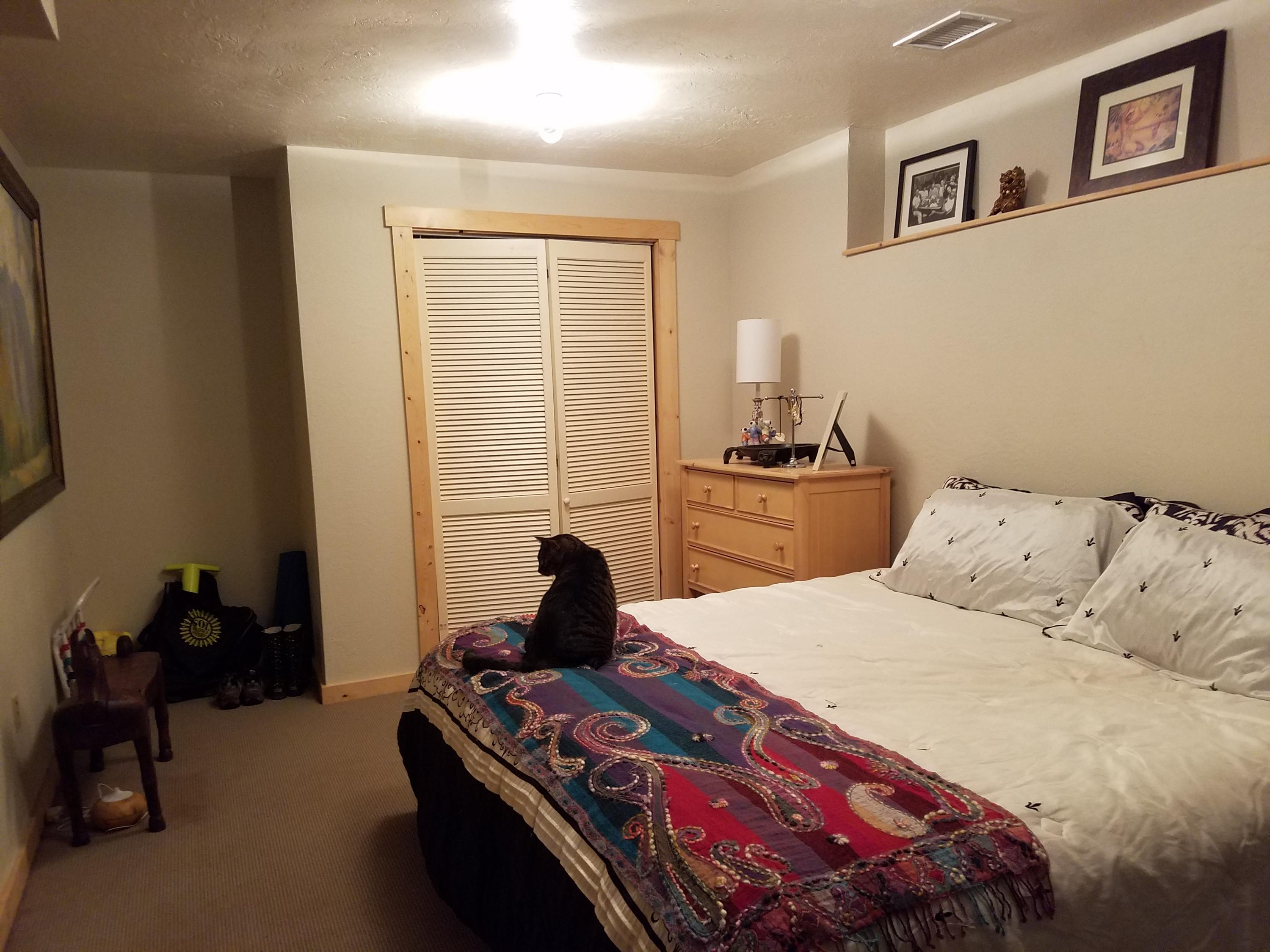 49 Redcliffe Road Placerville, CO 81430 - Photo 18 of 25 large den/bedroom