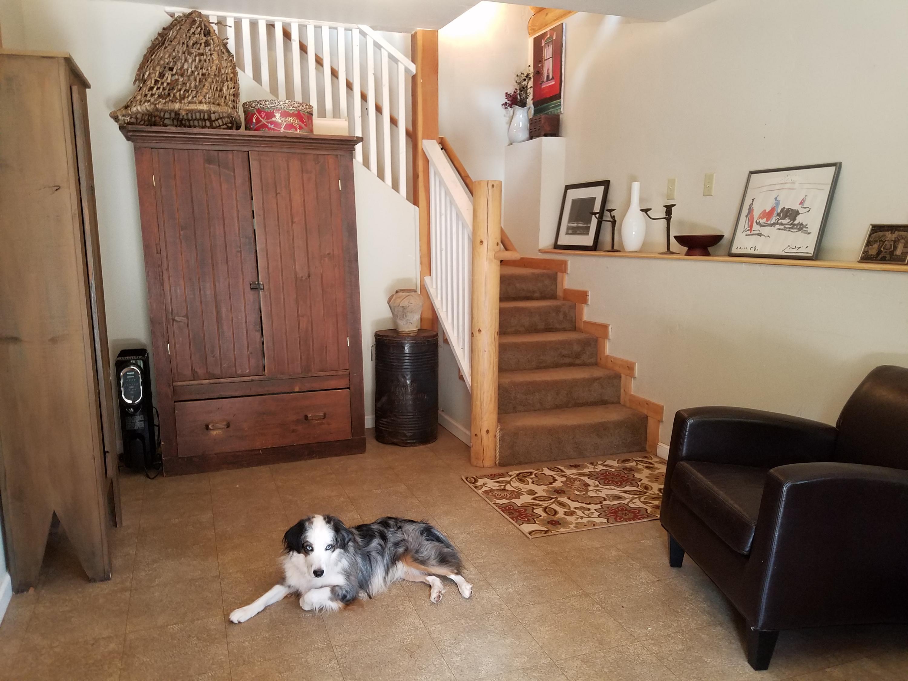 49 Redcliffe Road Placerville, CO 81430 - Photo 19 of 25 flex