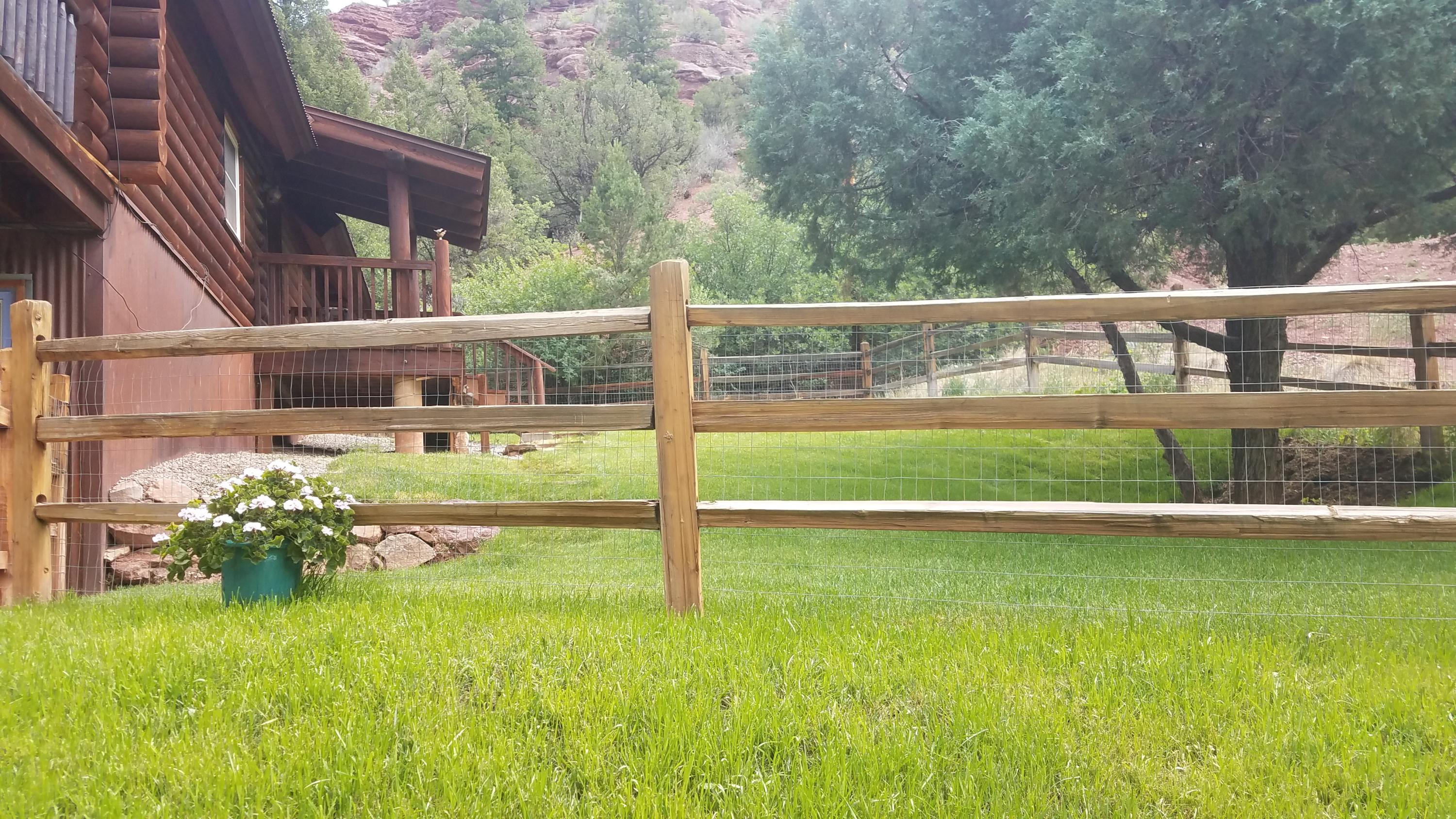 49 Redcliffe Road Placerville, CO 81430 - Photo 2 of 25 yard