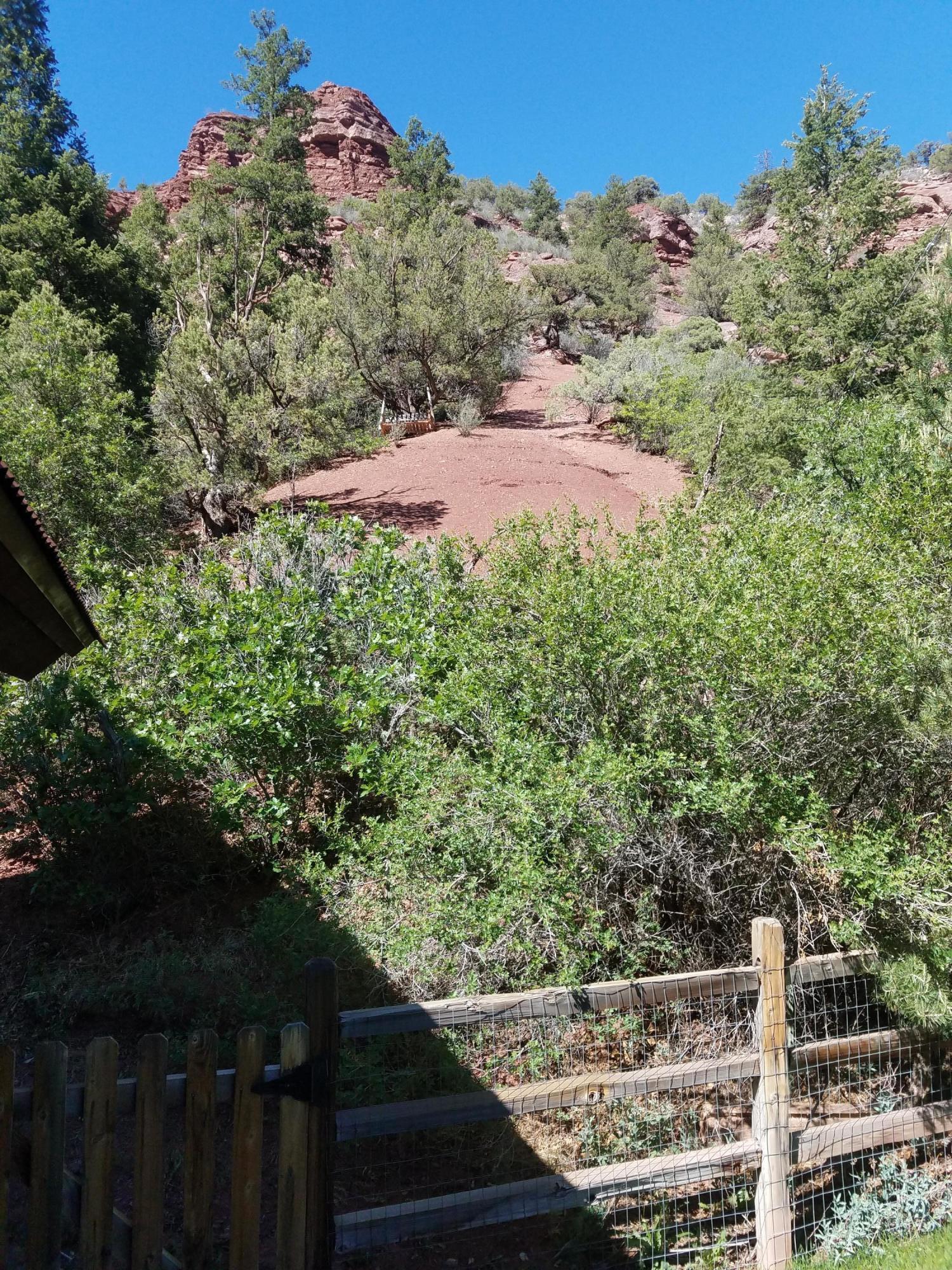 49 Redcliffe Road Placerville, CO 81430 - Photo 21 of 25 back yard