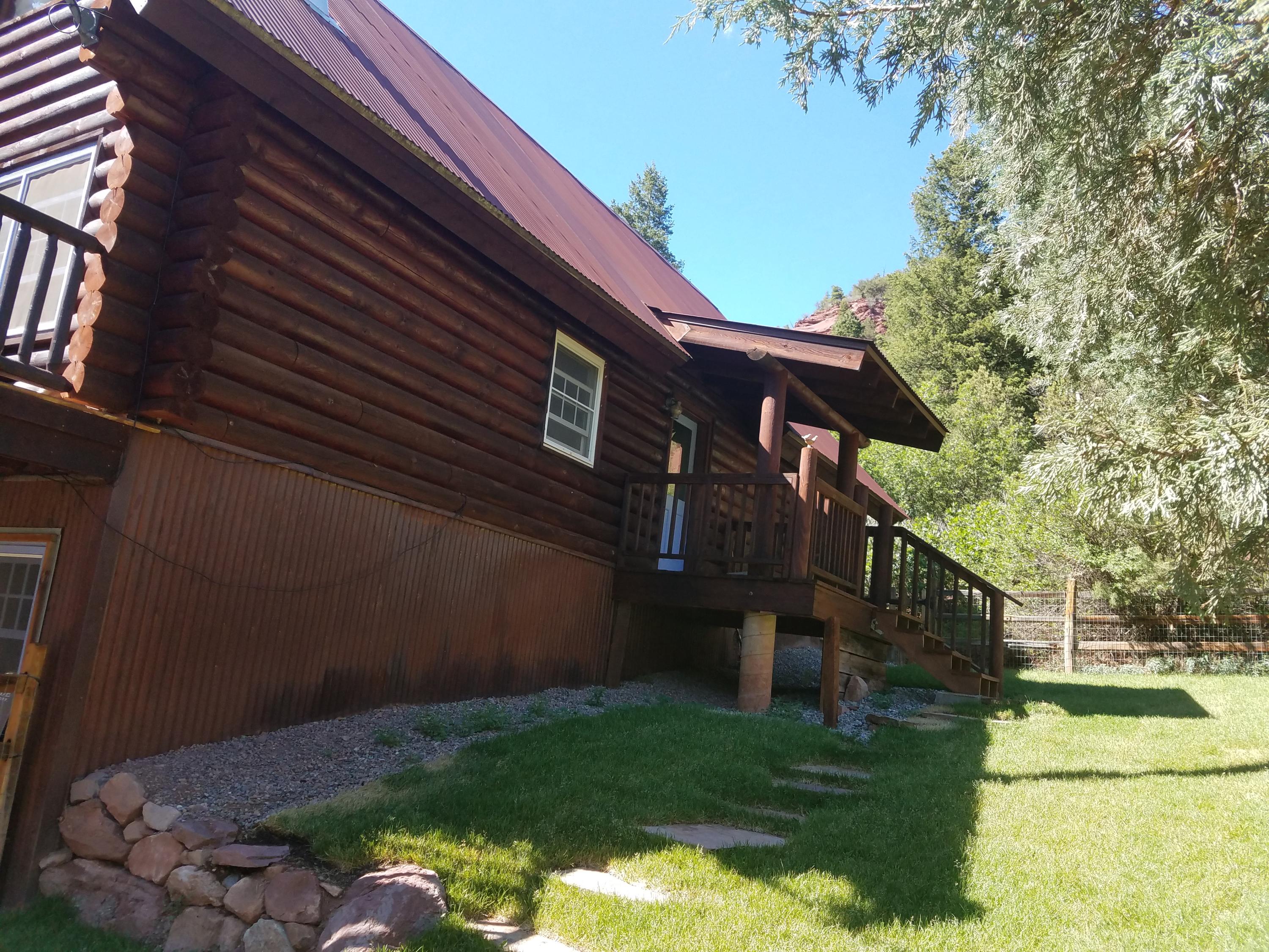 49 Redcliffe Road Placerville, CO 81430 - Photo 22 of 25 side yard