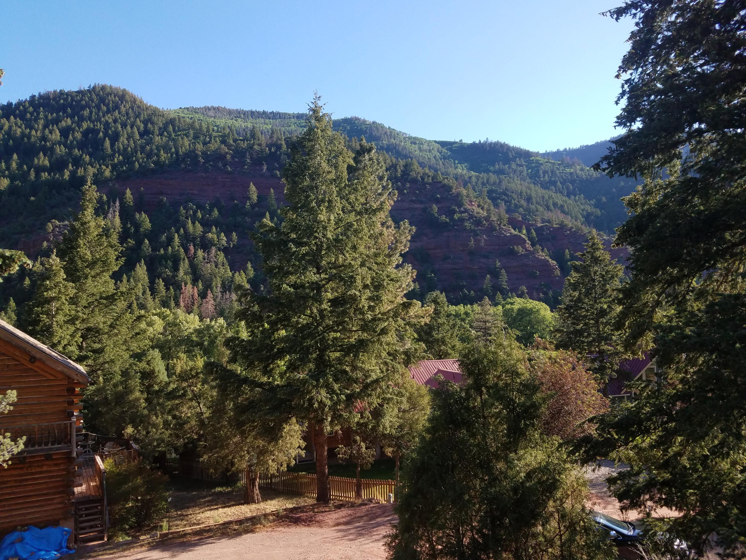 49 Redcliffe Road Placerville, CO 81430 - Photo 23 of 25 view from front balcony