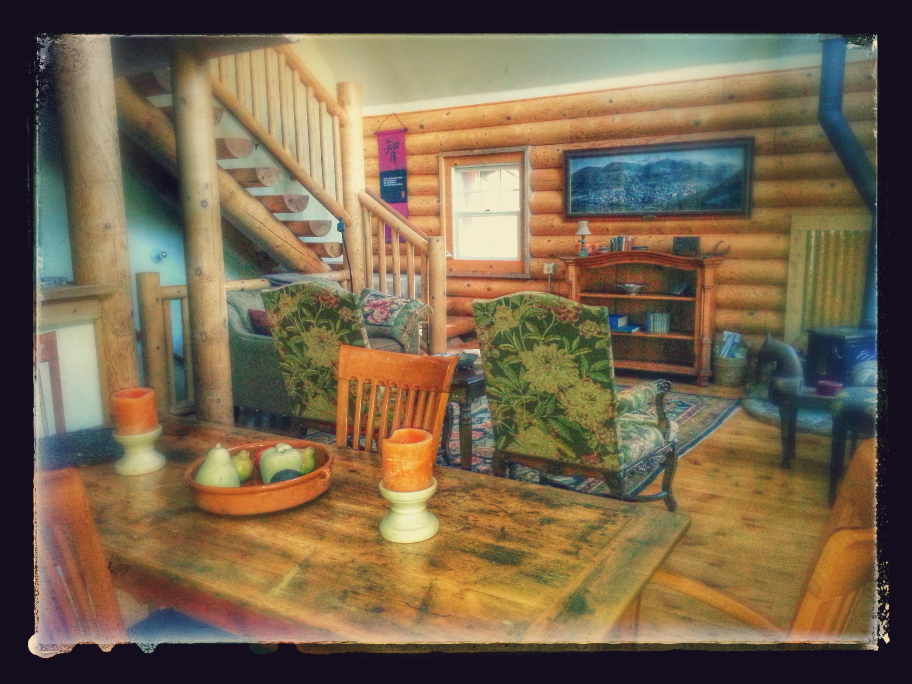 49 Redcliffe Road Placerville, CO 81430 - Photo 7 of 25 20140830_082009-EFFECTS