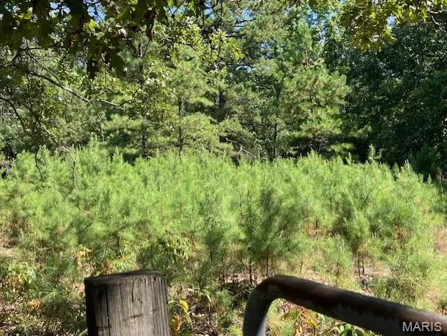 $120,000 | 908 St Unincorporated Mo 63662, Patton, MO 63662