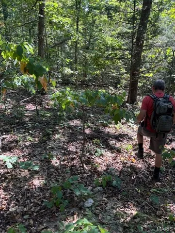 $120,000 | 908 St Unincorporated Mo 63662, Patton, MO 63662