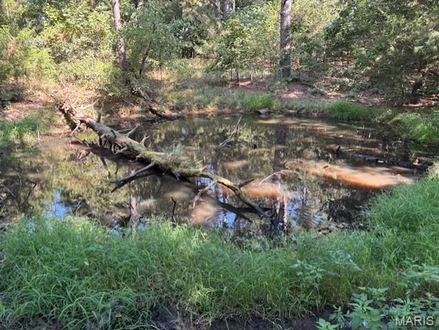 $120,000 | 908 St Unincorporated Mo 63662, Patton, MO 63662