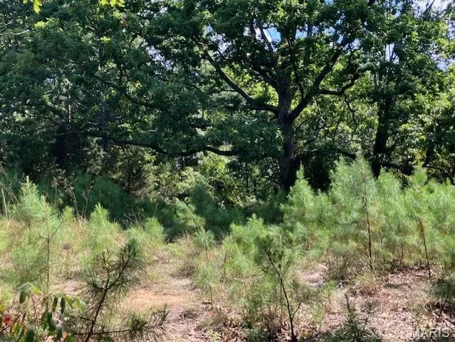 $120,000 | 908 St Unincorporated Mo 63662, Patton, MO 63662