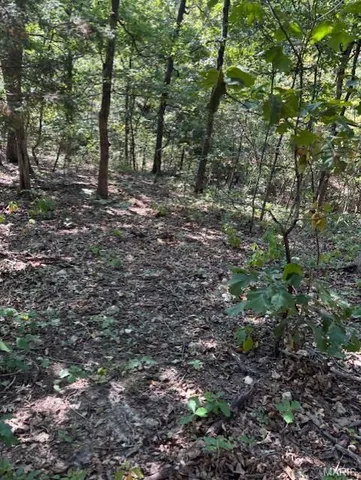 $120,000 | 908 St Unincorporated Mo 63662, Patton, MO 63662