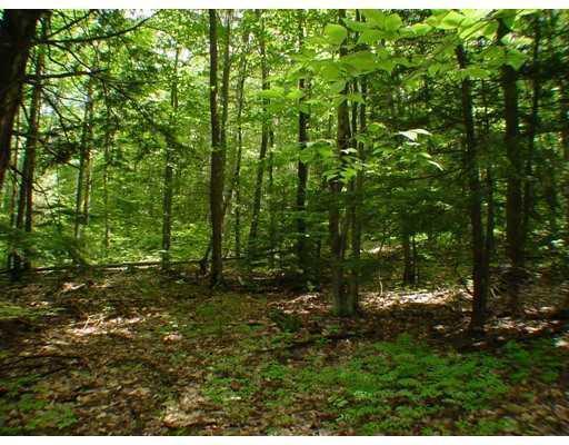 Lot 5 Maplecrest Road Parsonsfield, ME 04047 - Photo 1 of 1 land photo