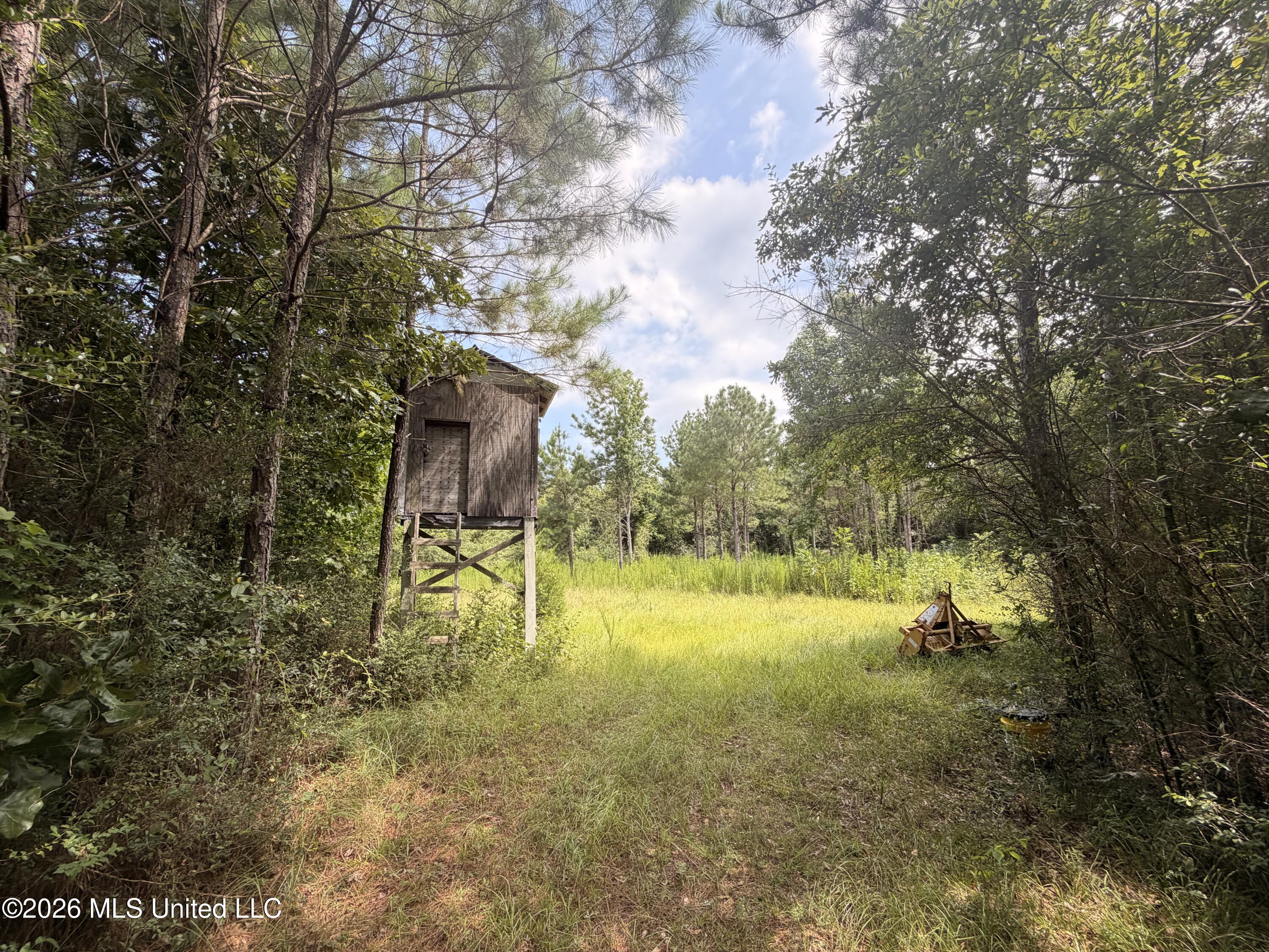 0 Beartown Road Jayess, MS 39641 - Photo 2 of 28 IMG_6513