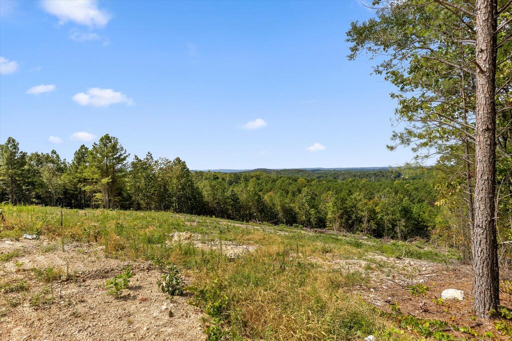 6 Reed Road Tunnel Hill, GA 30755 - Photo 22 of 27 Gallery Image 22