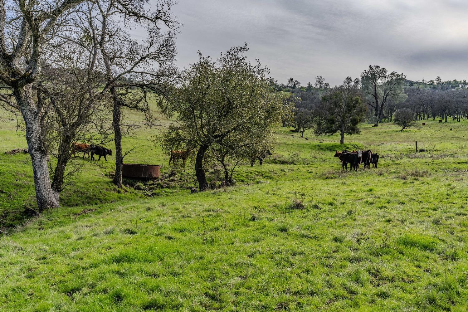 0 Little John Road Copperopolis, CA 95228 - Photo 20 of 47