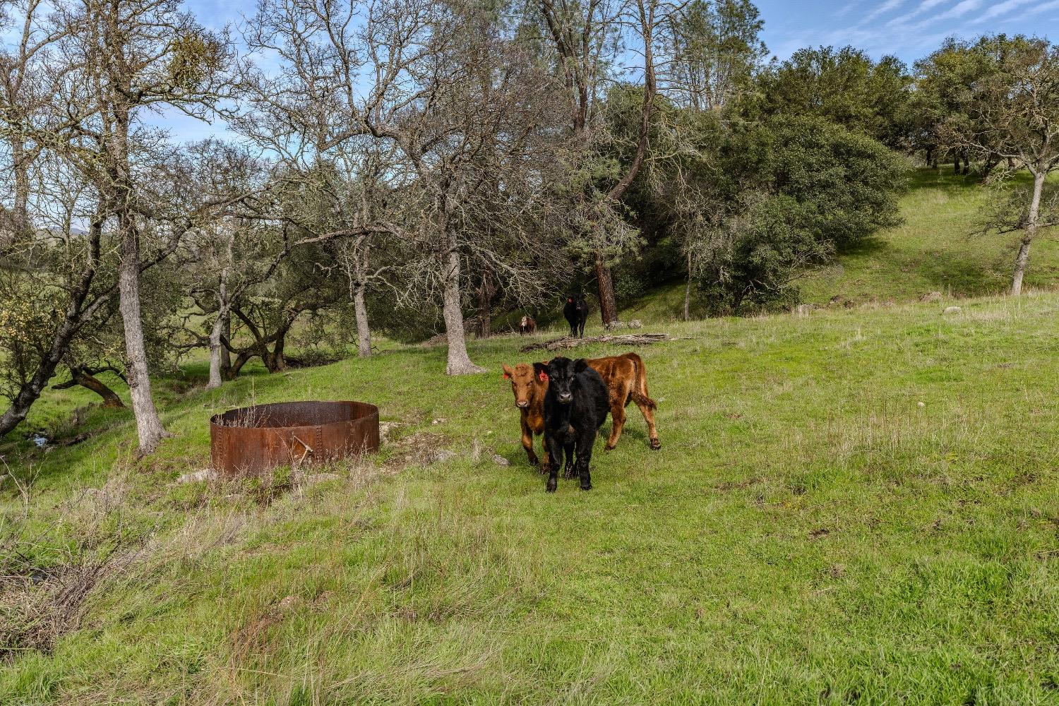 0 Little John Road Copperopolis, CA 95228 - Photo 24 of 47