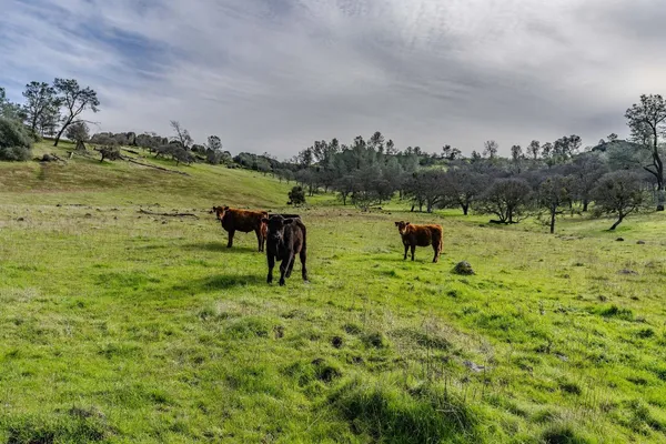 a view of a lake with outdoor space